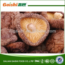Gaishi high quality dried Shiitake mushroom